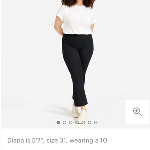 Everlane Kick Crop Work Pant